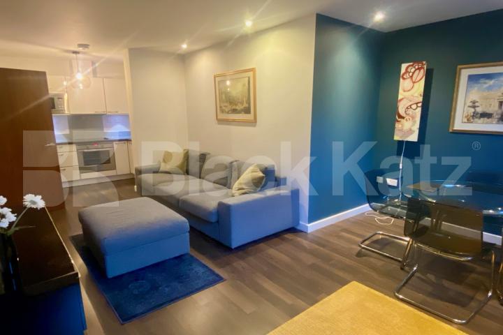 Converted Grade ll listed cinema, 700 Sq.Ft. private cinema for residents Lumiere Apartments, St Johns Hill, Clapham Junction